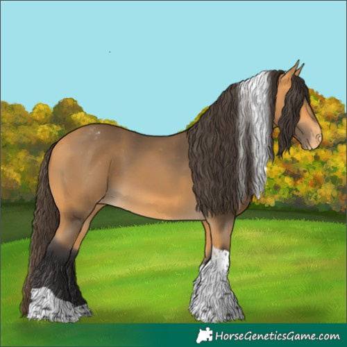 Horse Color:Buckskin Tobiano Appaloosa