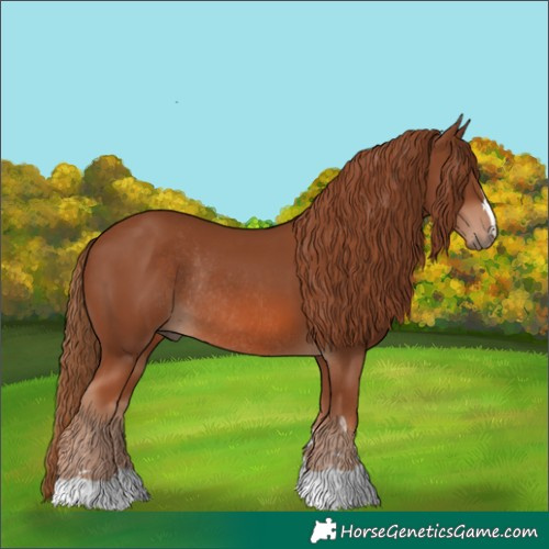 Horse Color:Chestnut Rabicano