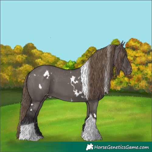 Horse Color:White Spotted Smoky Grullo Tobiano Appaloosa 