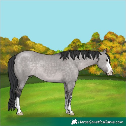 Horse Color:Platinum Brown Dun
