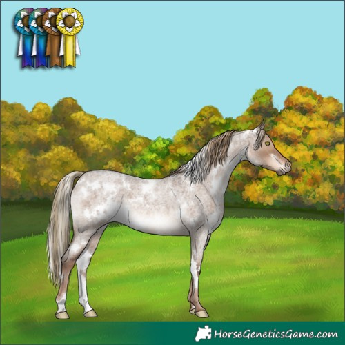 Horse Color:White Spotted Liver Red Dun Roan