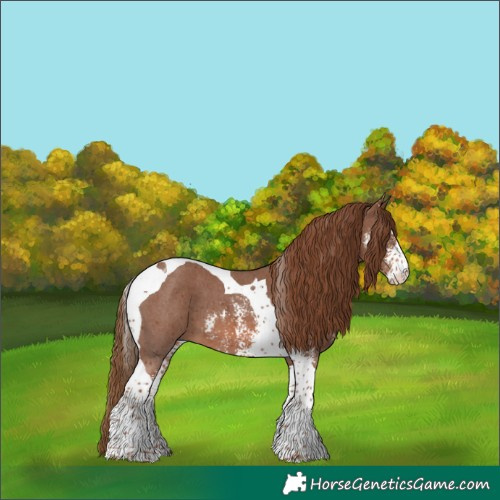 Horse Color:Chestnut Sabino Tobiano