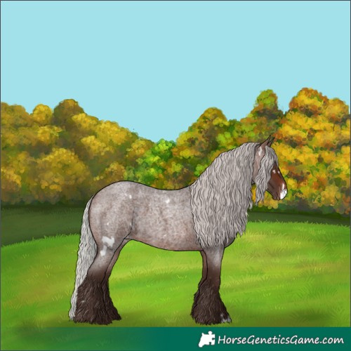 Horse Color:White Spotted Silver Brown Roan Appaloosa 