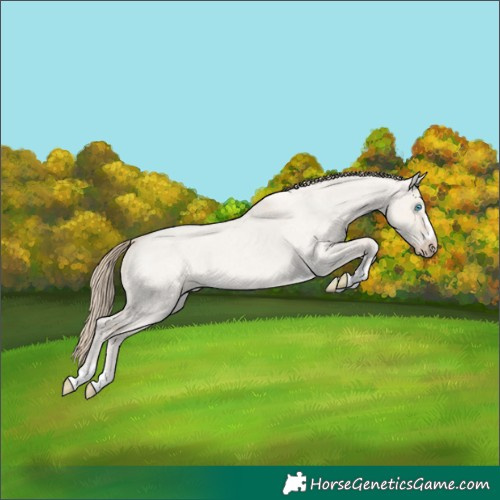 Horse Color:Smoky Creme Roan Dun Rabicano