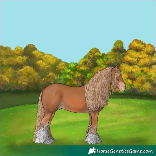 Horse Color:Chestnut Tobiano Appaloosa