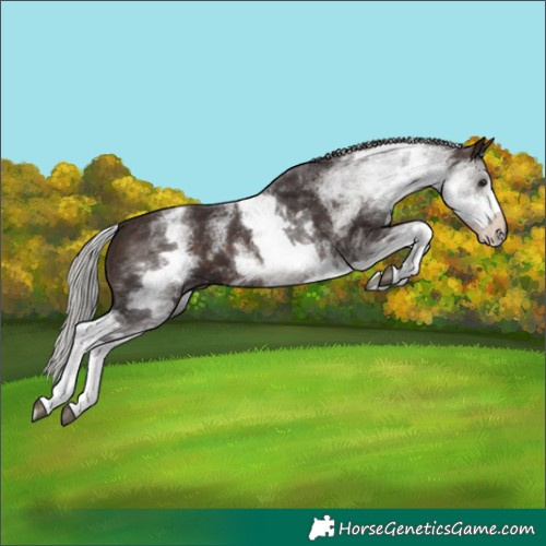 Horse Color:White Spotted Silver Brown 