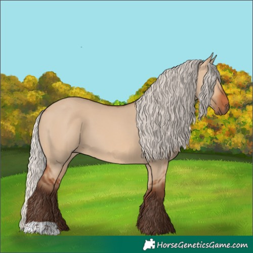 Horse Color:Silver Bay Dun 