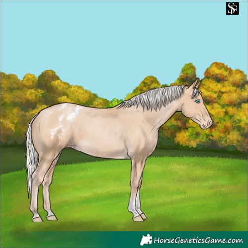 Horse Color:Silver Smoky Black Pearl Tobiano Appaloosa