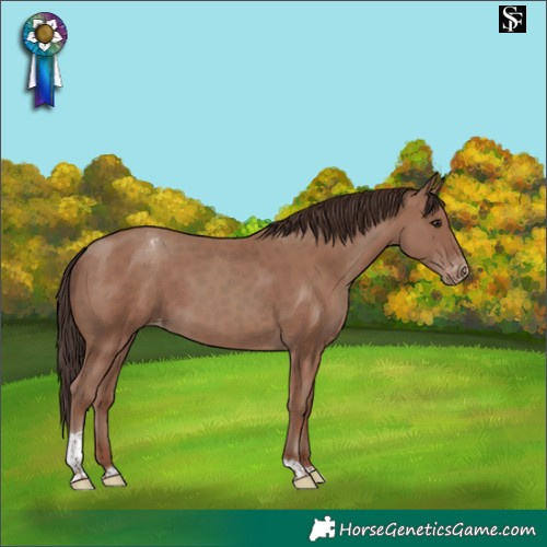Horse Color:Classic Champagne Tobiano Appaloosa