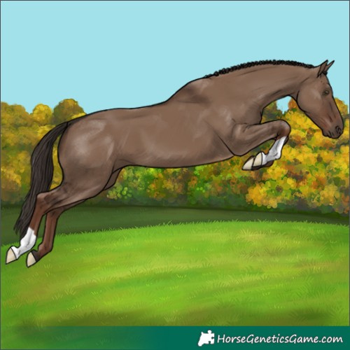 Horse Color:Liver Red Dun 