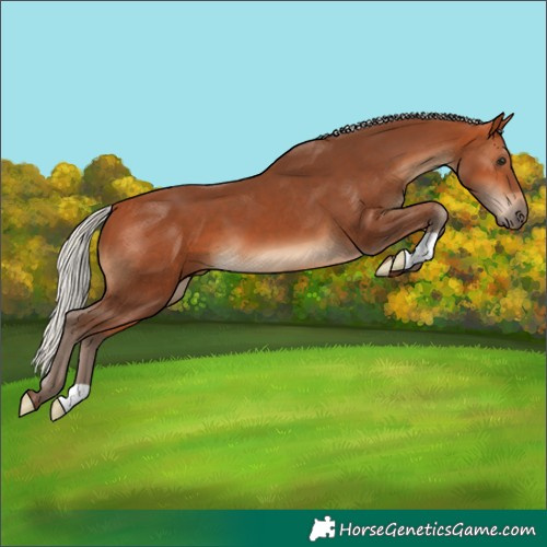 Horse Color:Silver Bay