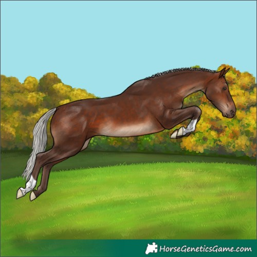 Horse Color:Silver Brown