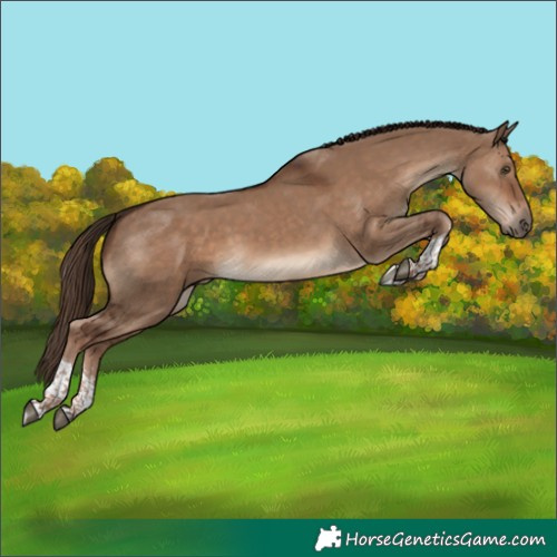 Horse Color:Liver Red Dun Sabino Tobiano 