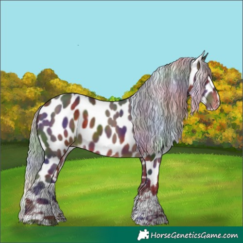 Horse Color:Nacre Silver Brown Sabino Appaloosa