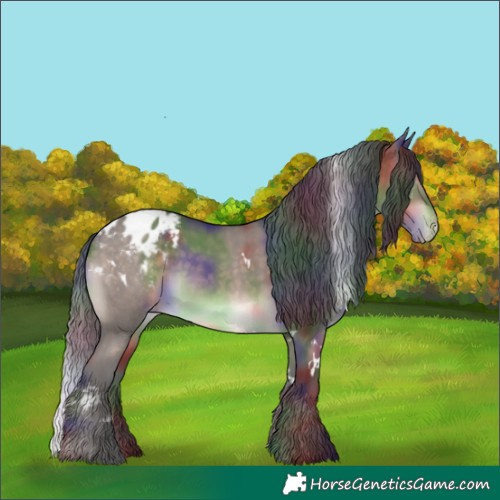Horse Color:Nacre White Spotted Brown Dun Mushroom Appaloosa Rabicano