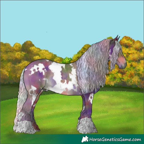 Horse Color:Nacre White Spotted Silver Black Rabicano 