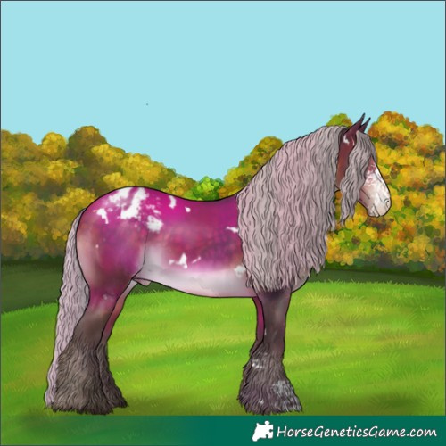 Horse Color:White Spotted Silver Brown Sabino Appaloosa Rabicano 