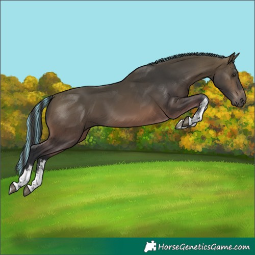 Horse Color:Painted White Spotted Bay