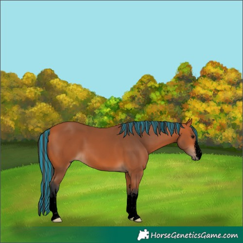 Horse Color:Void Painted White Spotted Bay 