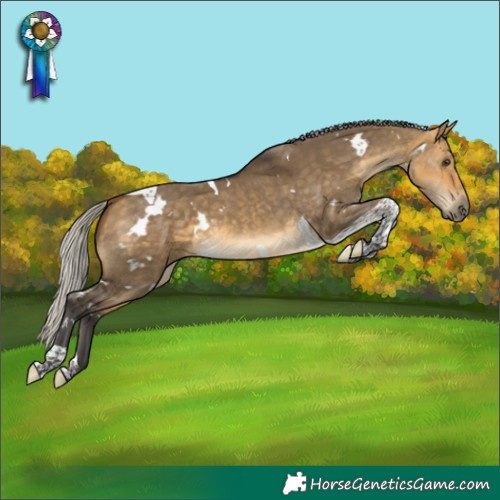 Horse Color:White Spotted Silver Buckskin Dun Tobiano