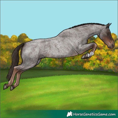 Horse Color:Liver Red Roan