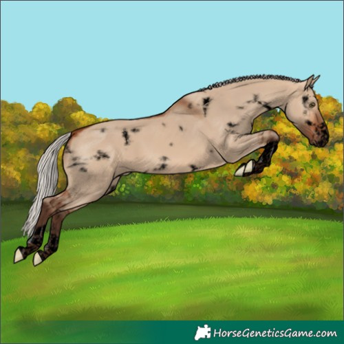 Horse Color:Void White Spotted Silver Brown Dun Tobiano Frame
