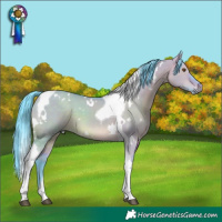 Horse Color:Watercolor White Spotted Brown Dun Tobiano 