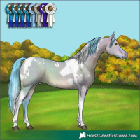 Horse Color:Watercolor White Spotted Brown Dun Tobiano 