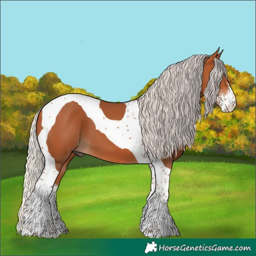 Horse Color:Silver Bay Sabino Tobiano