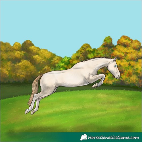 Horse Color:Buckskin Pearl Dun 