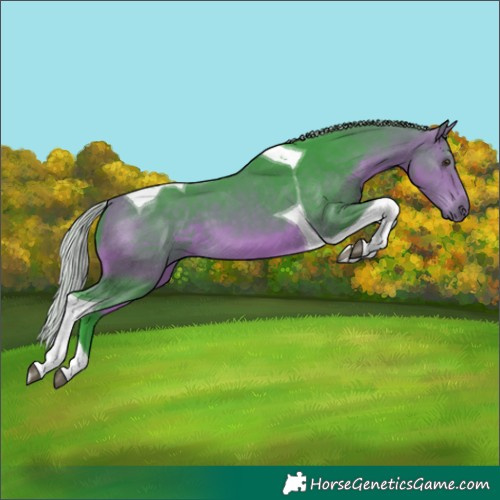 Horse Color:Watercolor Silver Buckskin Tobiano 