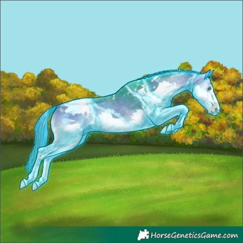Horse Color:Thunderstruck Watercolor Bay Onyx Splash Tobiano Appaloosa 