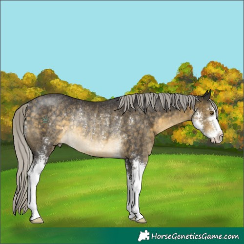 Horse Color:Silver Buckskin Sabino Rabicano
