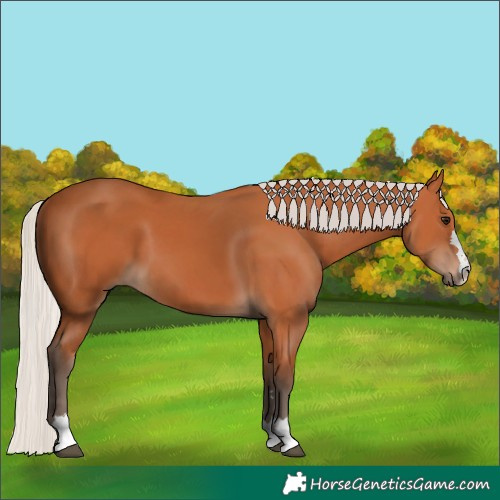 Horse Color:Silver Bay 