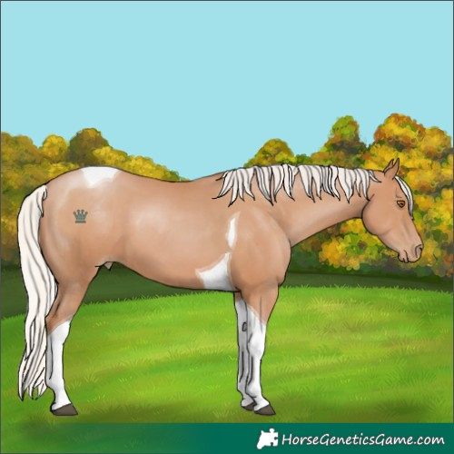 Horse Color:Silver Black Pearl Tobiano 