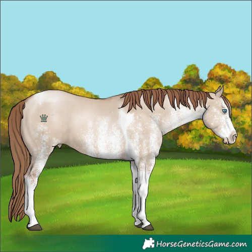 Horse Color:White Spotted Grullo Pearl Tobiano 