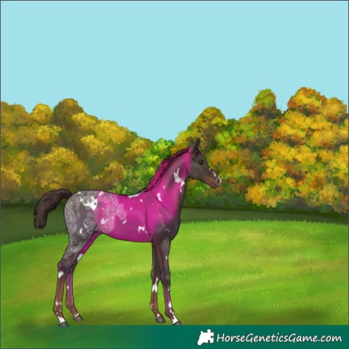Horse Color:White Spotted Liver Chestnut Ice 