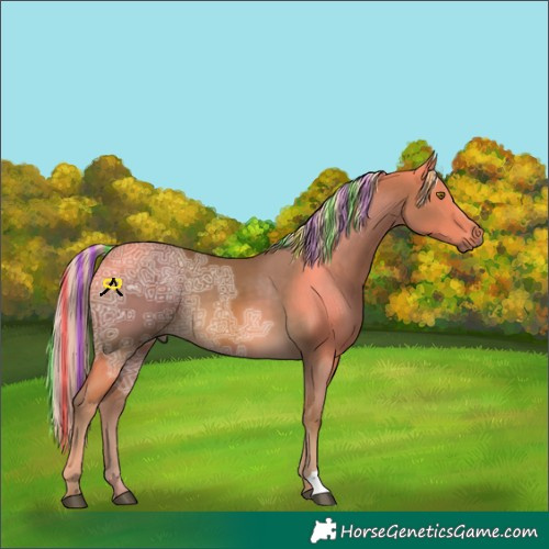 Horse Color:Painted Chocolate Palomino Ice