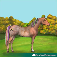Horse Color:Painted Chocolate Palomino Ice