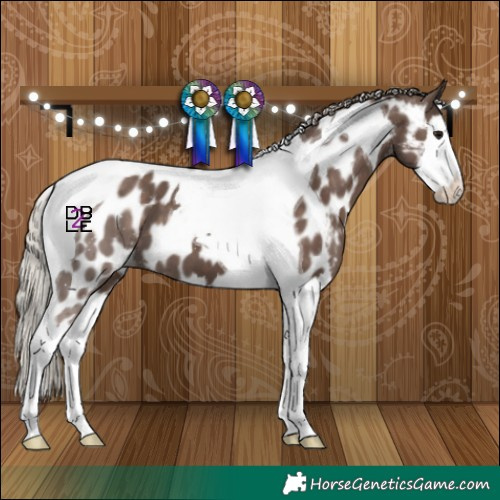 Horse Color:Silver Black Splash Tobiano Near Leopard
