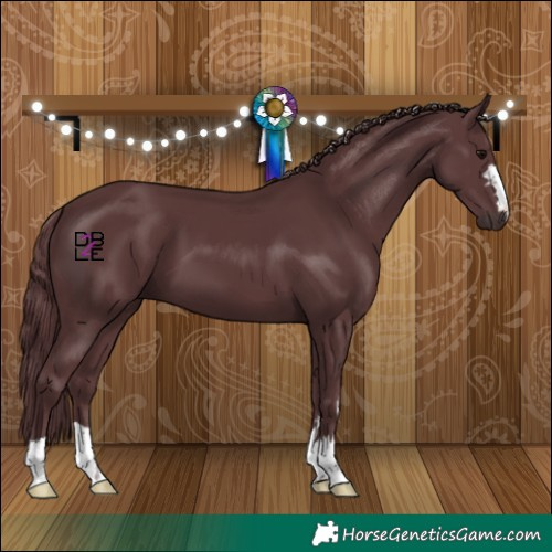 Horse Color:Chocolate Black 