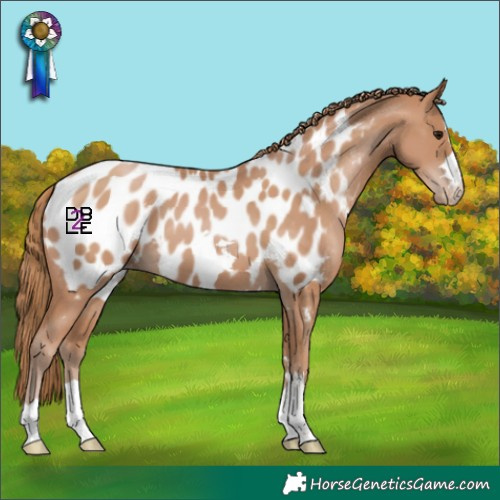 Horse Color:Chocolate Black Pearl Appaloosa