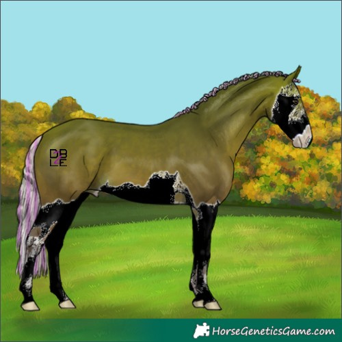Horse Color:Painted Silver Bay Splash