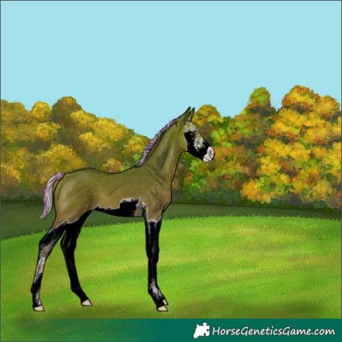 Horse Color:Painted Silver Bay Splash 