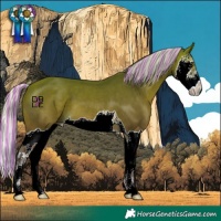 Horse Color:Painted Silver Bay Splash