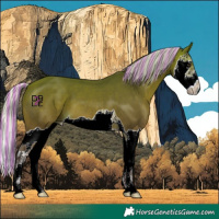 Horse Color:Painted Silver Bay Splash 