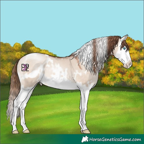 Horse Color:White Spotted Brown Pearl Dun Mushroom Splash Frame 