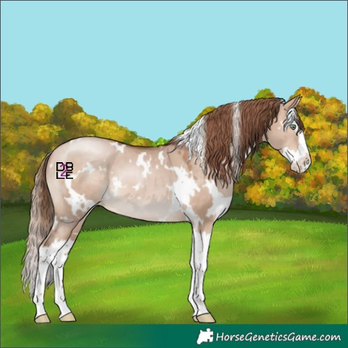 Horse Color:White Spotted Brown Pearl Dun Mushroom Splash