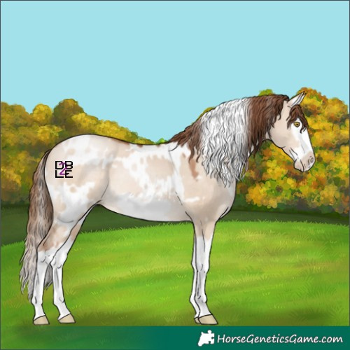 Horse Color:White Spotted Brown Pearl Dun Splash Frame