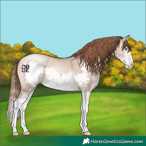 Horse Color:Bay Pearl Dun Mushroom Sabino Splash Frame